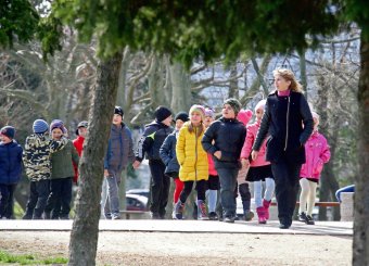 В пруды парка Победы после зимовки выпустили лебедей