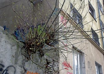 «Канава» – любимое место одесских граффитчиков и фотографов (фото)