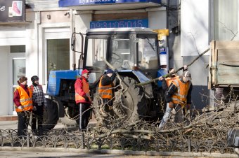 На Пушкинской проходит плановая обрезка деревьев