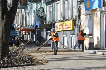 На Пушкинской проходит плановая обрезка деревьев