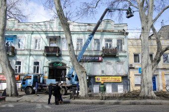 На Пушкинской проходит плановая обрезка деревьев