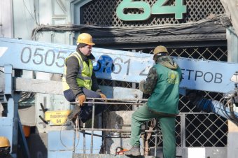 На Пушкинской проходит плановая обрезка деревьев