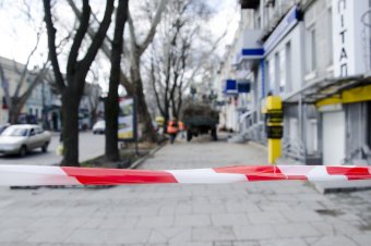 На Пушкинской проходит плановая обрезка деревьев