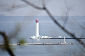 Воскресенье вербное