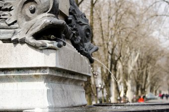 Воскресенье вербное