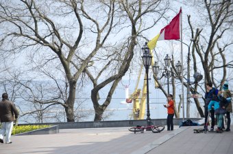 Воскресенье вербное