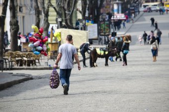 Воскресенье вербное