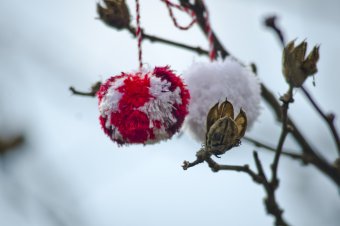 Воскресенье вербное