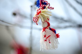 Воскресенье вербное