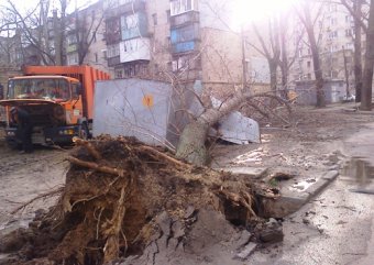 Коммунальные службы Одессы продолжают ликвидировать последствия стихии