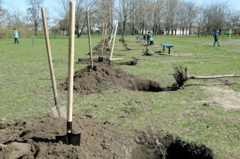 В Одессе чествовали ветеранов Великой Отечественной (фото)