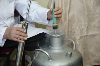 "Доверяй делам": Ветераны-врачи принимают поздравления