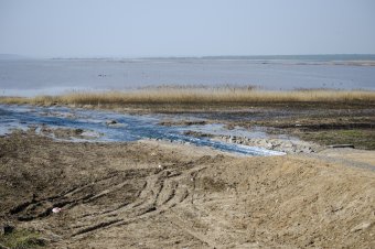 Куяльник наполняется морской водой