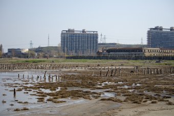 Куяльник наполняется морской водой