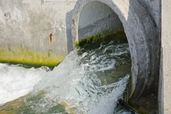 Куяльник наполняется морской водой