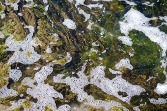 Куяльник наполняется морской водой
