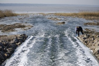 Куяльник наполняется морской водой