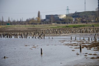 Куяльник наполняется морской водой