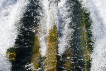 Куяльник наполняется морской водой