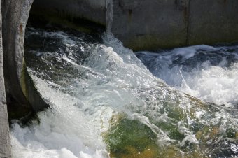 Куяльник наполняется морской водой