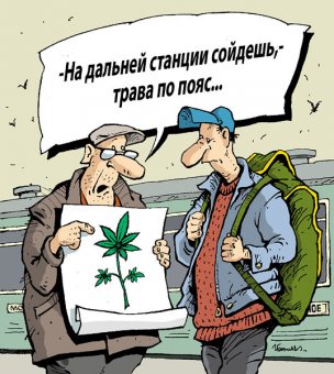 Почти 500 уголовных дел открыто по фактом незаконного оборота наркотиков в Одесской области