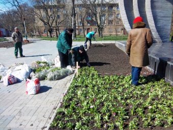 150 кустов сирийcкой мальвы высажены в Одессе на прошлой неделе (фото)
