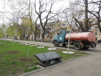 В Прохоровском сквере волонтёры высадили деревья и привели в порядок памятник жертвам Холокоста