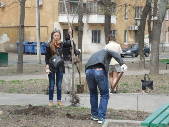 В Прохоровском сквере волонтёры высадили деревья и привели в порядок памятник жертвам Холокоста