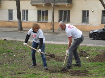 В Прохоровском сквере волонтёры высадили деревья и привели в порядок памятник жертвам Холокоста