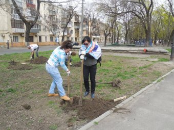 В Прохоровском сквере волонтёры высадили деревья и привели в порядок памятник жертвам Холокоста