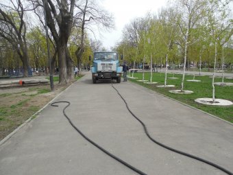 В Прохоровском сквере волонтёры высадили деревья и привели в порядок памятник жертвам Холокоста