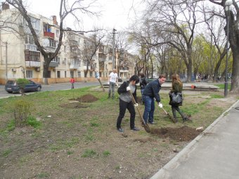 В Прохоровском сквере волонтёры высадили деревья и привели в порядок памятник жертвам Холокоста