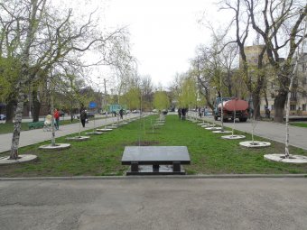 В Прохоровском сквере волонтёры высадили деревья и привели в порядок памятник жертвам Холокоста