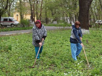 Одесские медики на субботнике (фото)