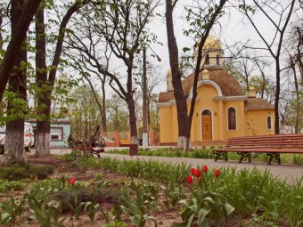 Одесские медики на субботнике (фото)