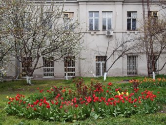 Одесские медики на субботнике (фото)