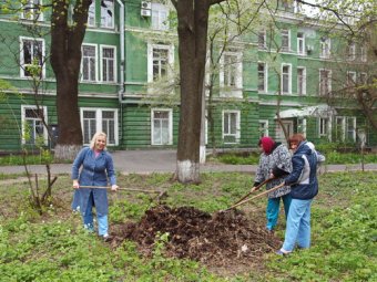 Одесские медики на субботнике (фото)