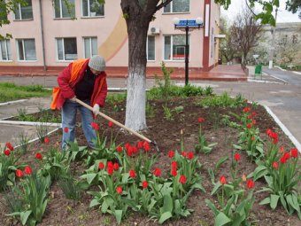 Одесские медики на субботнике (фото)