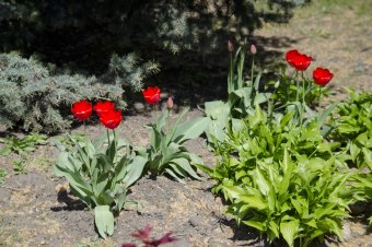 Апрельский день