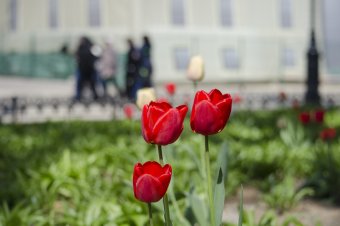 Апрельский день