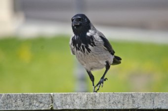 Апрельский день