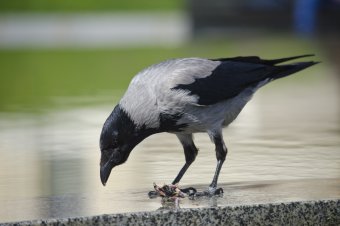 Апрельский день
