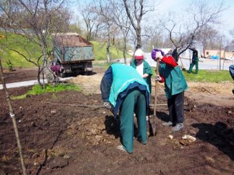 Зеленые зоны Одессы благоустраиваются (фото) 