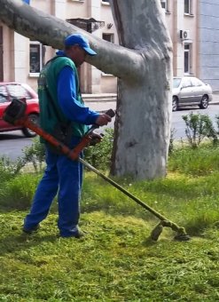 Зеленые зоны Одессы благоустраиваются (фото) 