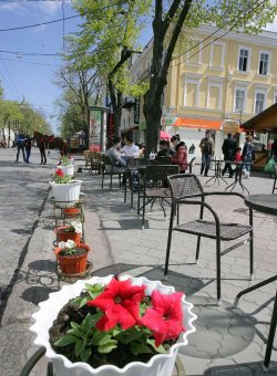 Дерибасовская просыпается от зимней спячки (фото)