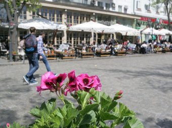 Дерибасовская просыпается от зимней спячки (фото)