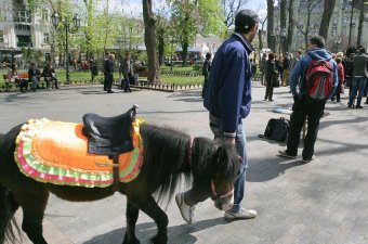 Дерибасовская просыпается от зимней спячки (фото)