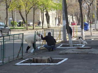 Школьники Молдаванки вышли на городской субботник (фото)