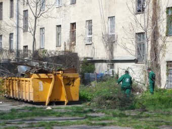 Школьники Молдаванки вышли на городской субботник (фото)