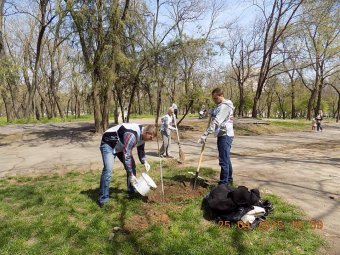 Активисты «Батькивщины» прихорашивали Одессу (фото)